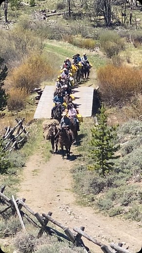 Triangle C Ranch is looking forward to …… having Lead Changes starting the season off with the 2025 Boys Leadership and Horsemanship camp May 25 - June 7 Don’t miss out on this great adventure and opportunity for our youth and young MEN! @leadchangesorg Call 361-449-6090 for more information or visit https://www.leadchanges.org/how-to-apply/. #Leadership #horsemanship🐎 #lifeskills #teamwork #communication #spreadpositivity #productivity #resposibility #greatoutdoors #inthemountains | Triangle C