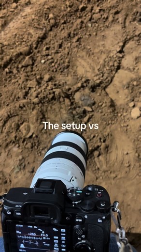 Comparing Setup and Shot in Rodeo
