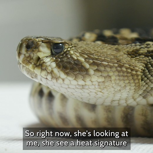 The Deadliest Job in America!