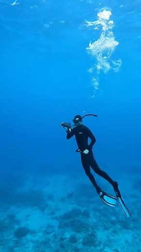 1.8M views · 17K reactions | #fishing #ocean #diving #underthesea #underwater | Taylor Ocean | Facebook