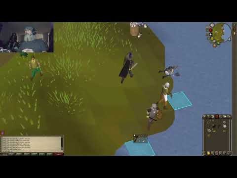 Old School Runescape: Trying to get fishing to 20