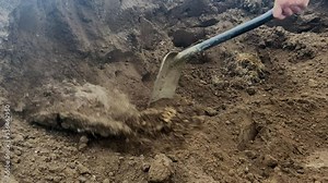 Digging soil with shovel. Worker digs the ground with a shovel. Digging soil in the garden. Shovel Digs a Underground Hole with a Shovel at the construction site.