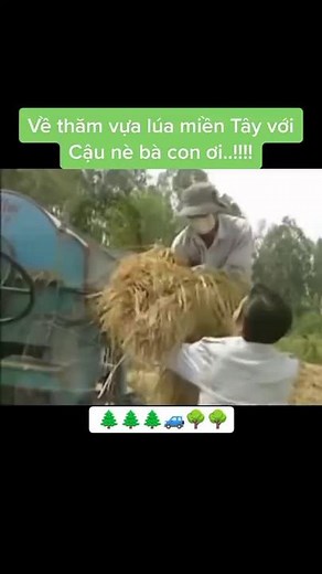 Tài khoản được đề xuất