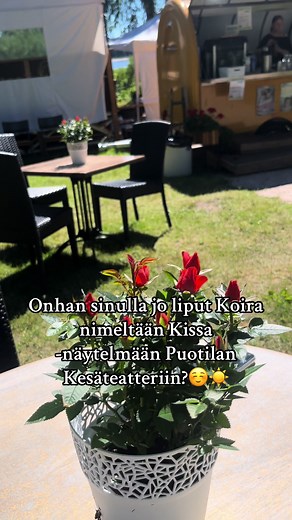 Liput ja lisätiedot: https://www.puotilankesateatteri.fi Näytelmän kesto n. 40 min Suositusikä: Kaikki! 0-1-v ilmaiseksi vanhemman sylissä. Esityspaikka: Puotilan Kesäteatteri, Puotilantie 7 Alkuperäisteos: Tomi Kontio #puotilankesäteatteri #puotila #puotilankartano #kesäteatteri #tekemistälapsille #koiranimeltäänkissa #tomikontio #elinawarsta #kesätekemistä #kivaatekemistä #näytelmä #lastennäytelmä #kulttuurialapsille #mitätehdäkesällä #itähelsinki #fry #foryoupage #väestöliitto #kaikkionperhee