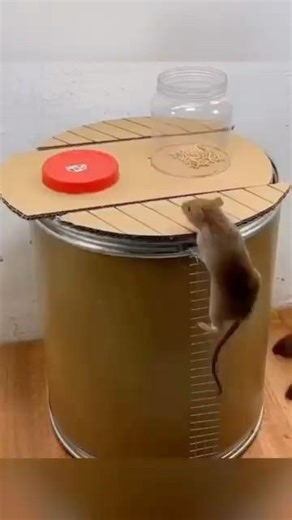 Genius Auto-Reset Rat Trap 🐭 #Shorts #PestControl #SmartDesign #Engineering #Viral