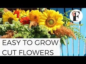 Easy to Grow Cut Flowers for First Cut Flower Garden - Growing Flowers from Seed