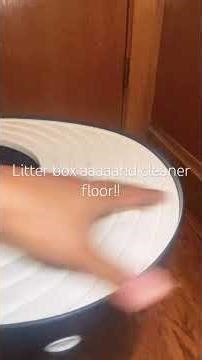 Cleaner space, happier cat — this litter box is a game changer. #litterbox #littersweep