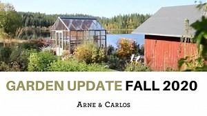 17K views · 961 reactions | ARNE & CARLOS on Reels | Facebook