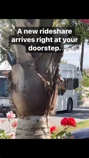 When did they move public transportation into residential streets?