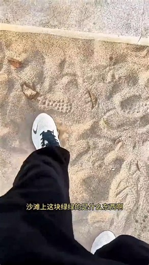 Dirty Shoe Surprise Pizza 😱🍕 ~ Building Wooden Log Cabin in Forest | Survival House Step by Step 174