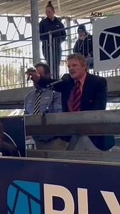 2.1K views · 249 reactions | Elders agent Nathan McCarthy claims South Australia Young Auctioneer Award. Read the full story via the link in our bio #alpa #auctioneer #agriculture #farming #sa #australia @alpa_agents | Stock Journal | Facebook