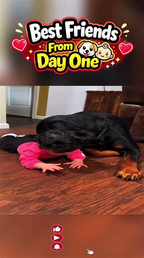 Baby And Dog Friendship ❤️ #shorts #cute #viral
