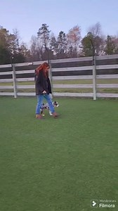 Remi, the Aussie pup is starting to understand leash pressure on/off. This is our main method of reinforcing verbal commands. In another day or two, Remi will be ready to be introduced to her micro-educator ecollar! . . #aussie #australianshepherd #puppy #puppies #puppytraining #prongcollar #rvadogtrainers #breakthroughk9training | Breakthrough K9 Training