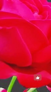 318K views · 2.4K reactions | Learn simple and useful English sentences with their Malayalam meanings to improve your daily communication. These basic phrases are perfect for beginners who want to speak English confidently. #EnglishMalayalam #DailyEnglish #SpokenEnglish #LearnEnglish #MalayalamLearning | Day To Day English | Facebook