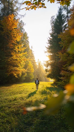 Sony Italia on Instagram: "{ Autunno 2024 } 🍂📸 Ho provato la mia nuova Sony A1 sulle montagne italiane. Con un po' di fortuna il sole ha illuminato i paesaggi e acceso la speranza. { Fall 2024 Color Scheme } 🍂📸 Tested my new Sony a1 in the italian mountains. With a bit of luck the Sun illuminated the landscapes and sparked hope. Lenses used | Sony 70-200mm GM 2.8 II + Sony 50mm GM 1.2 + Sony 24-70mm GM 2.8 #TheChoiceofPhotographers #SonyAlpha #AlphaUniverse #Sonyg