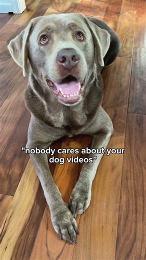 Dog moms (and dads!) everywhere 👏