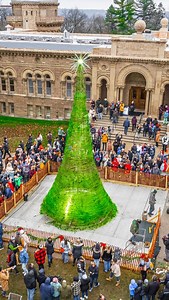 13K views · 47 reactions | The team at The World’s Tallest Glass Tree teamed up with film maker Dave Flores to create The World’s Tallest Glass Tree Mini Documentary. Check it out on our YouTube channel and stay tuned for the release of episode 1 of our new series by Ignite Media. | World's Tallest Glass Tree | Facebook