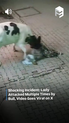 F3 News on Instagram: "Shocking Incident: Lady Attacked Multiple Times by Bull, Video Goes Viral on X #bullattack #viralvideo ( Bull attacking a Woman , Viral Video , Bull Attacks )"