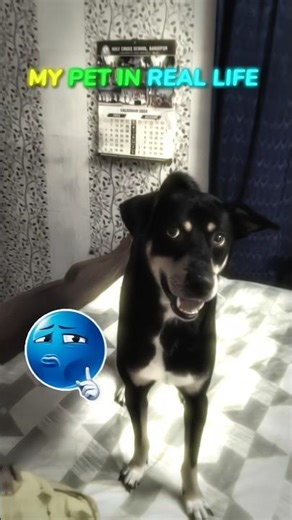 sɪᴍʙᴀ 🐶#freefire #dog #viral