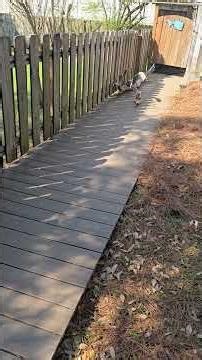 Why do I still have bugs after a bug treatment? Yards that attrack bugs.