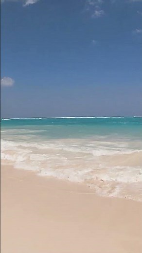 Dominican Republic Vacation at Occidental Punta Cana #travel #vacation #dominicanrepublic