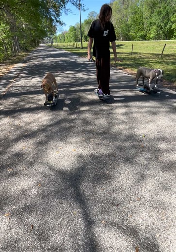 Dogs Riding a Onewheel: Fun and Adorable Moments