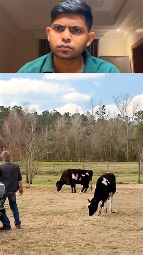 569K views · 16K reactions | Under the dome | Fariz Reacts | Facebook