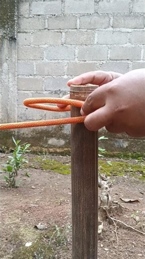 "The Best Rope Knot Everyone Should Know!" (Simple & Super Useful) #knot #shorts #diy