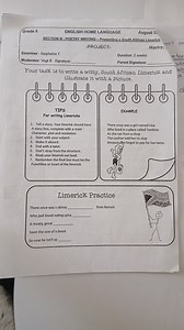 Your task is to write a witty, South African Limerick and illus... | Filo