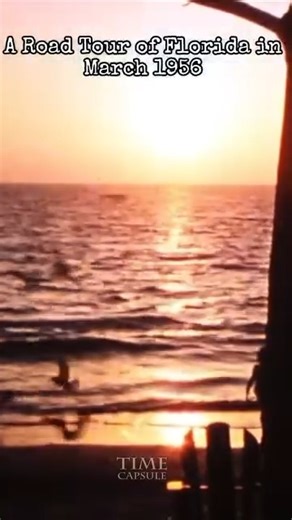 34K views · 499 reactions | Take a Ride Through History and head down to 1956 Florida to explore the state in all its glory. So, buckle up and get ready for a journey of a lifetime   | Amazing Time Capsule | Facebook