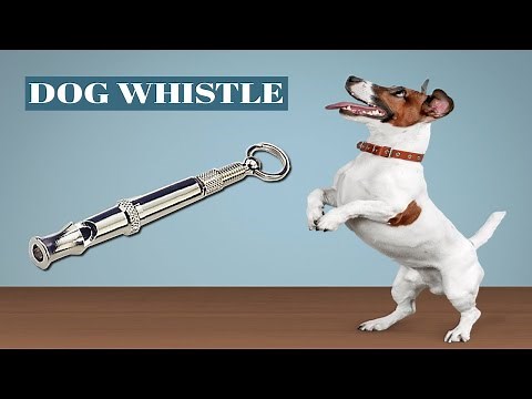 Dog Whistle - Real Sound Experiment