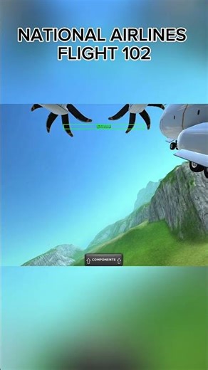 national airlines flight 102 #plane #aviation #subscribe #turbopropflightsimulator #tfs #crash