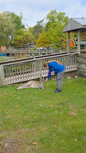 2.9K views · 60 reactions | Did you know Vet Techs have their own medical lingo? Check out what some of these abbreviations, terms, and acronyms mean! #vettechstars #NVTW2025 #VetTechWeek #VetTechsRock #veterinary | Saginaw Children's Zoo | Facebook