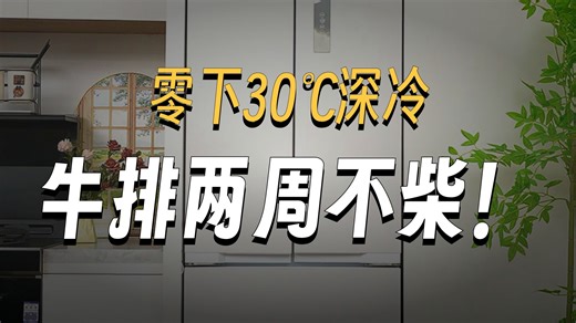 【东芝推荐】400L超薄嵌入式多门冰箱｜GR-RF420WI-PM171变频家用节能冷鲜冷冻保鲜冰箱｜国家补贴5158元