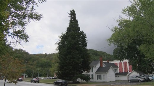 Carter County ready to open the holiday season with tree lighting