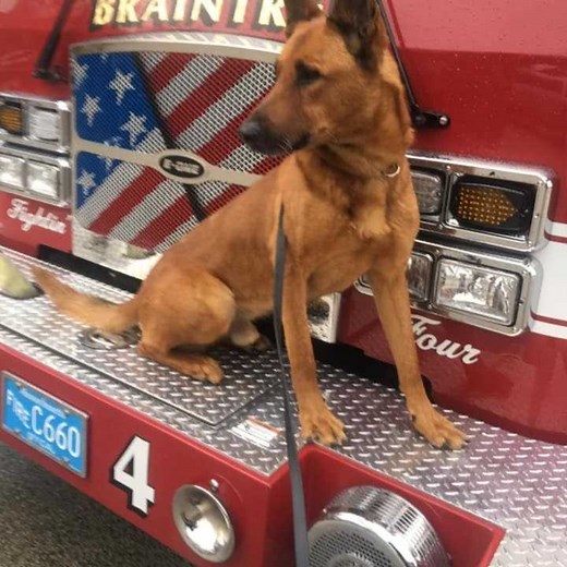 Police, canines and one Massachusetts town came together to pay tribute to K-9 Kitt, who made the ultimate sacrifice, and died trying to protect his handler and his community. 💙 https://cbsn.ws/3xL9vHB | 48 Hours