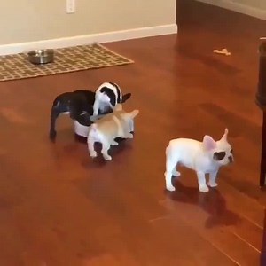 26 reactions · 4 comments | Hey, let me try that ⠀...