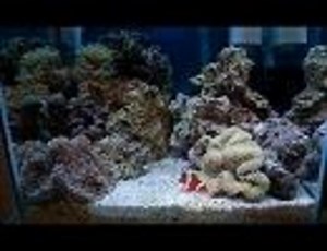 【槇原 敬之】　FISH