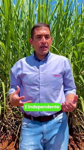 Peso+ and ALmax: a strategy for more sugar in sugarcane.