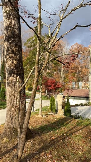 Fall colors are still beautiful in Gatlinburg😍😍😍 | I Love The Smoky Mountains