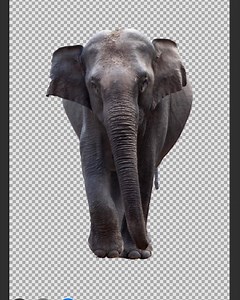 background eraser & background Changer | LightX
