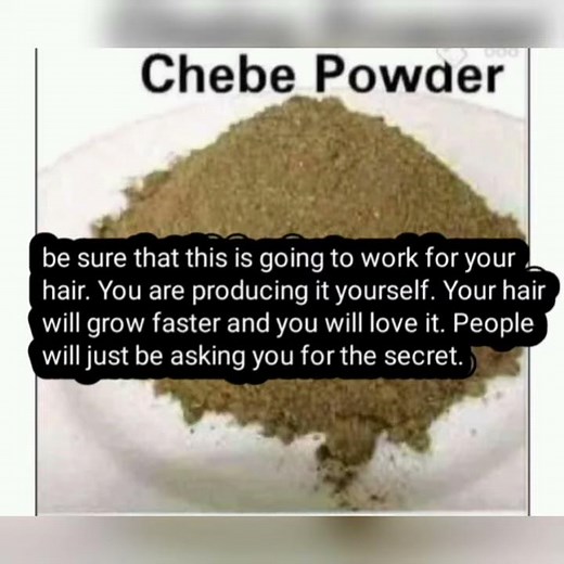 HOW TO PRODUCE CHEBE POWDER FROM SCRATCH: