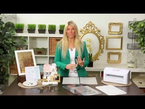 Teresa Collins Cut'n'Boss: Introduction