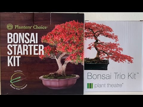 Planters Choice and Bonsai Trio Kit Plant Theatre Episode 4 Plus instructions