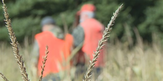 Experts share hunting tips after hunter accidentally shot by another in Zachary