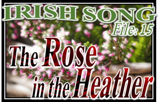 【和声の有効活用】『The Rose in the Heather』カデンツ構造から学ぶサス・コードと保続音の構成！アイリッシュ・ソング分析  その2