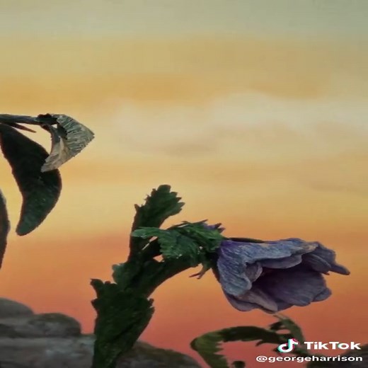 George Harrison's Give Me Love Music Video Explained