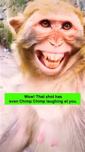 Bowling On The Chameleon Oil Pattern For The First Time #bowling #toughtime #spares