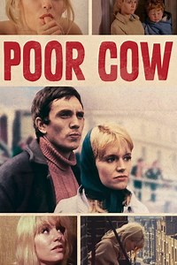 Stream Poor Cow (1967): Find it on Netflix, Prime Video, Hulu & more