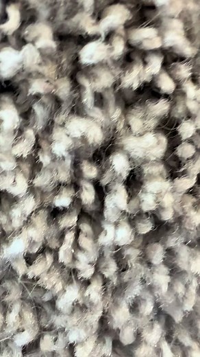 Available at the Cumberland Valley Animal Shelter 2090 in Chambersburg PA.